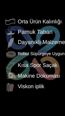 Esila B695C Modern Zarif Asimetrik Çizgi Desenli Açık Gri Renginde Halı