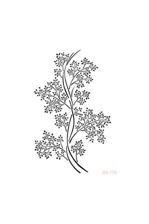 Bn175 25x35 Bn Serisi Stencil Stensil Polsefset