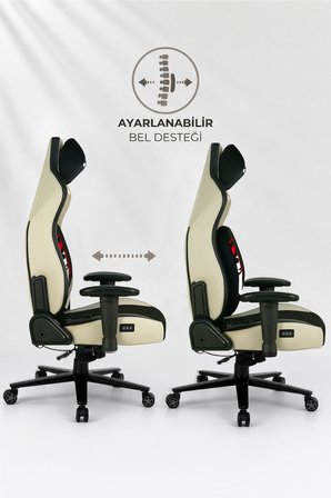 Warrior Jack Premium Oyuncu Koltuğu - Masajlı ve Isıtmalı Dragon Temalı Oyun Sandalyesi