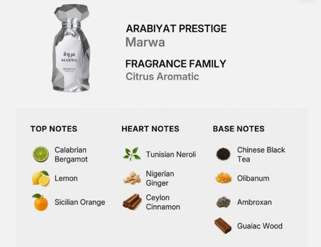Arabiyat Prestige Marwa Eau de Parfüm 100 ml Erkek Parfümü