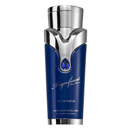 Armaf Magnificent Pour Homme Blu EDP 100 ml Erkek Parfümü