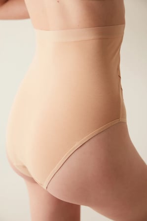 Ten Rengi Pamuklu Penti Mama Hamile Yüksek Bel Slip Külot