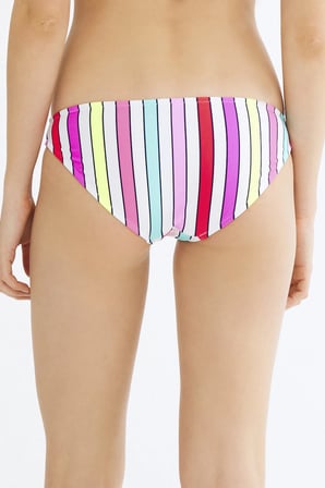 Çok Renkli Retro Slip Bikini Altı