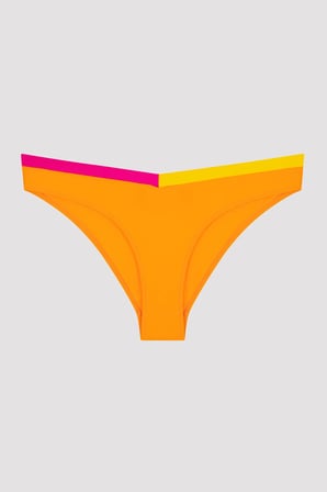 Çok Renkli Santos V Kesim Bikini Altı