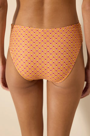 Alen Twist Çok Renkli Bikini Altı