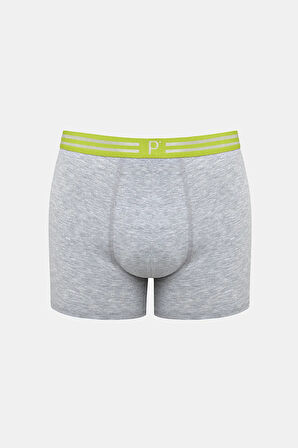 Phospor Belt Çok Renkli 3lü Boxer