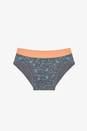 Erkek Çocuk Blue Solid 3lü Çok Renkli Slip Külot