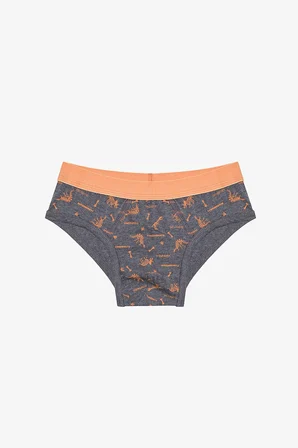 Erkek Çocuk Blue Solid 3lü Çok Renkli Slip Külot