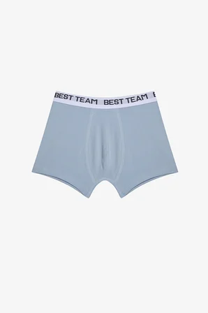 Erkek Çocuk Team Play 2li Çok Renkli Boxer