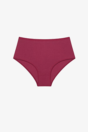 3lü Yüksek Bel Çok Renkli Slip Külot