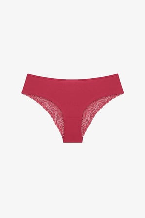 Wild Flower Dantel Detaylı Pamuklu 3lü Çok Renkli Hipster Külot