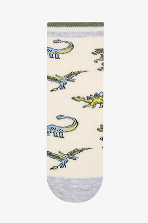 Erkek Çocuk Dinosaur Age 4lü Çok Renkli Soket Çorap