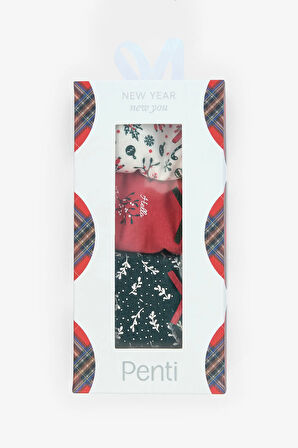 Hello New Year 3lü Pamuklu Çok Renkli Slip Külot