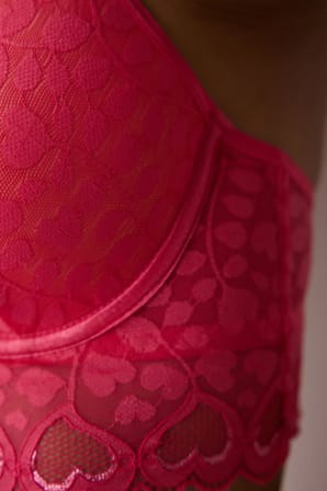 Laluce Broderie Longline Sütyen - Penti Loves Paris Koleksiyonu