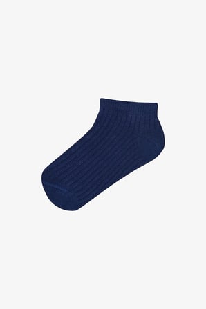 Erkek Çocuk Pure Çok Renkli 3lü Patik Çorap