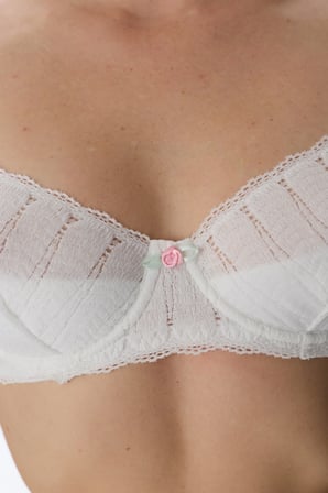 Kırık Beyaz Valeria Lace Dantel Balenli Sütyen