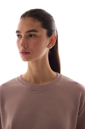 Bej Bisiklet Yaka Regular Kesim Pamuklu Sweatshirt