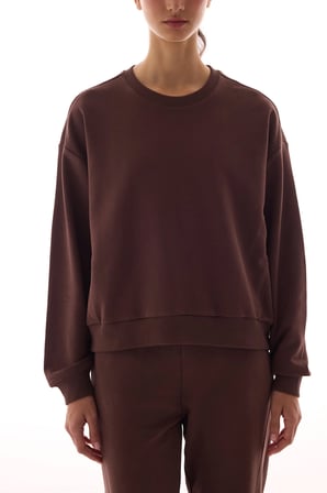 Kahverengi Dikiş Detaylı Bisiklet Yaka Pamuklu Sweatshirt