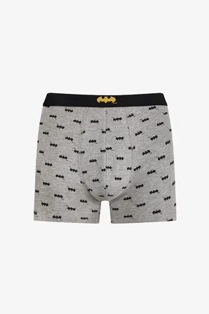Erkek Batman Çizgi Roman Desenli 2'li Boxer