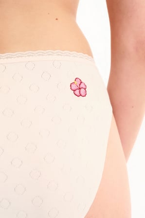 Krema Pembesi Pointel Çiçekli Slip Külot