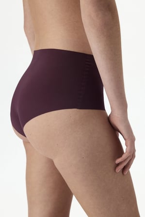 İz Bırakmaz Bordo  Lazer Kesim Yüksek Bel Slip Külot