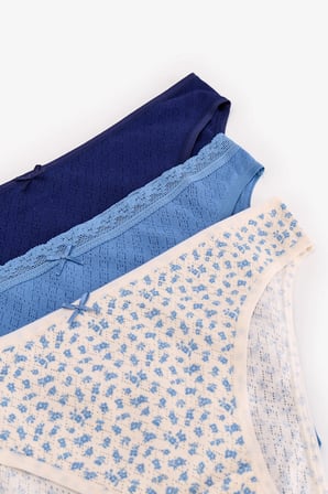 Fairy Lady Pointel Çiçekli 3'lü Slip Külot