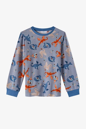 Erkek Çocuk Mavi Mystic Dragons Uzun Kollu Pijama Takımı