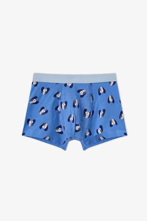 Erkek Çocuk Mavi Paws For Joy Pamuklu 3'lü Boxer