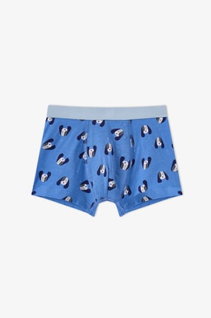 Erkek Çocuk Mavi Paws For Joy Pamuklu 3'lü Boxer