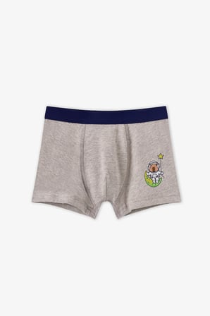 Erkek Çocuk Mavi Capybaras Space Pamuklu 3'lü Boxer
