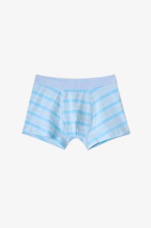 Erkek Çocuk Mavi Dino Bones Çizgili Pamuklu 3'lü Boxer
