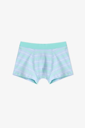 Erkek Çocuk Mavi Dino Bones Çizgili Pamuklu 3'lü Boxer