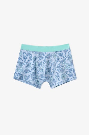 Erkek Çocuk Mavi Dino Bones Çizgili Pamuklu 3'lü Boxer
