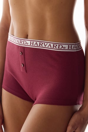 Bordo Harvard Yüksek Bel Boyshort Külot