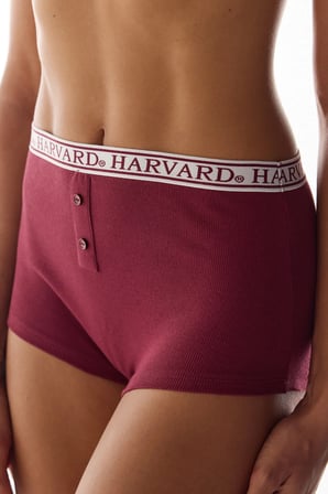 Bordo Harvard Yüksek Bel Boyshort Külot