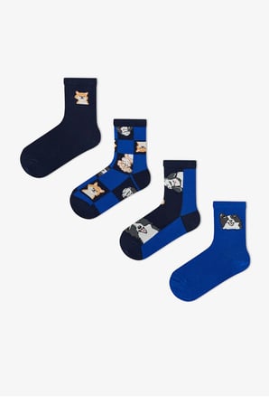 Erkek Çocuk Mavi The Paw Club Pamuklu 4 Çift Soket Çorap