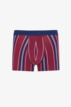 Erkek Vibe Çizgili 3'lü Boxer