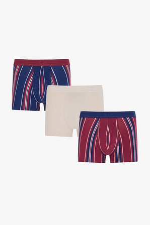 Erkek Vibe Çizgili 3'lü Boxer