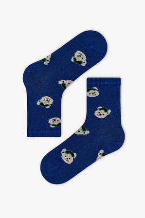 Erkek Çocuk Snowboard Bear Pamuklu 4 Çift Soket Çorap