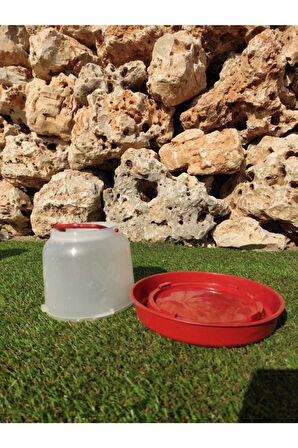 Suluk 2 Lt 1 Adet Tavuk Suluğu Civciv Suluğu Kanatlı Suluğu Plastik Suluk Çeşitleri
