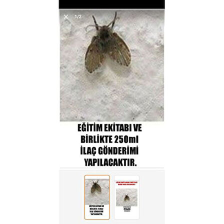Logar tuvalet sinek ilacı 250ml sıvı ilaç kesin çözüm sağlar banyo lavabo sineği derdine son