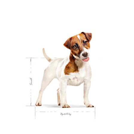 Royal Canin Küçük Irklar için Kuru Köpek Maması 8Kg