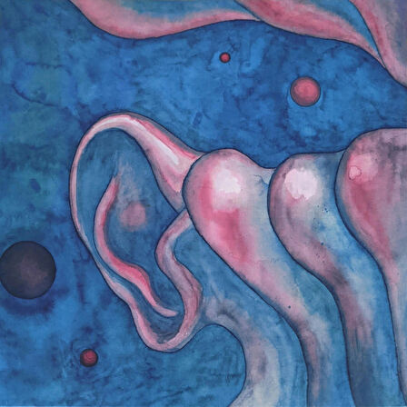 King Crimson - In The Court Of The Crimson King (An Observation By King Crimson) - Plak (2LP)