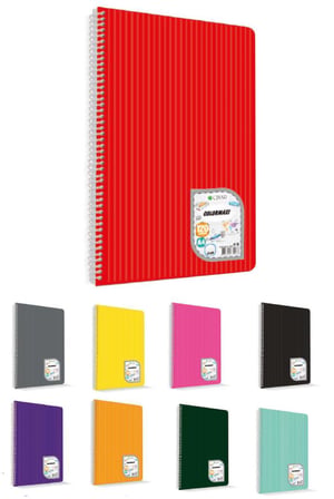 Uni Note A4 Colormaxi Spiralli Defter Plastik Kapak Kareli 120 Yaprak 120/4 73008 (6 Lı Paket)