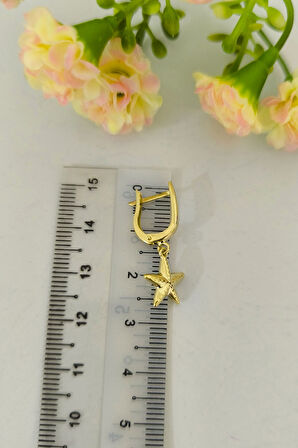 Altın Deniz Yıldızı Küpe