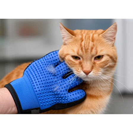 Tüy Toplama Eldiveni Kedi & Köpek Tüy Temizleyici, Masaj Etkili