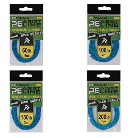 Ryuji Assist PE Line (Blue) Standart-200LB