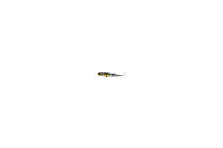 FUJIN Sound98 9,8cm 10,6gr Su Üstü Maket Balık 011 Illusion
