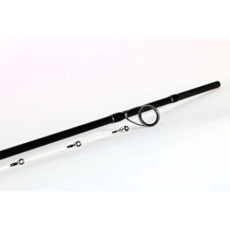 Shimano Bassterra Sea Bass 2,74m 7-30g 2pc Spin Kamışı