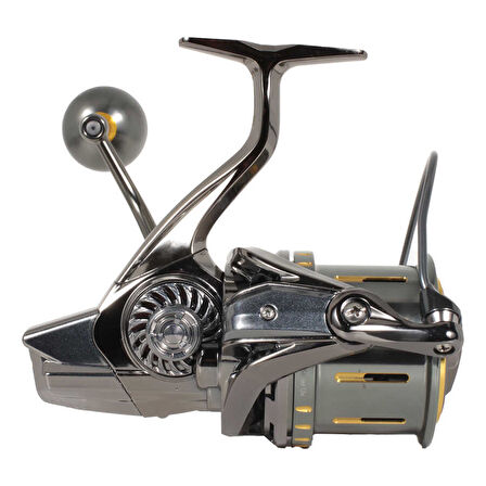 RYUJI MOMENTUM 10000 SILVER UV 11+1BB SURF MAKARA Standart-Standart